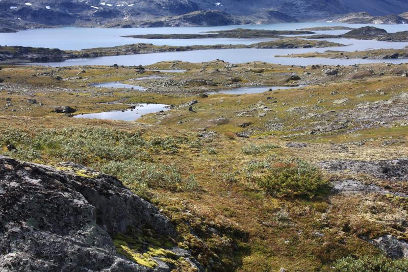 153-Sognefjell,23 agosto 2011.JPG